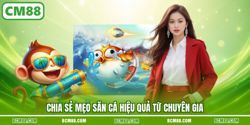 Chia sẻ mẹo săn cá hiệu quả từ chuyên gia Chia sẻ mẹo săn cá hiệu quả từ chuyên gia