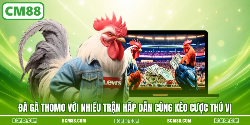 Đá gà Thomo với nhiều trận hấp dẫn cùng kèo cược thú vị Đá gà Thomo với nhiều trận hấp dẫn cùng kèo cược thú vị