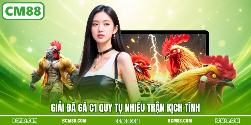 Giải đá gà C1 quy tụ nhiều trận kịch tính Giải đá gà C1 quy tụ nhiều trận kịch tính