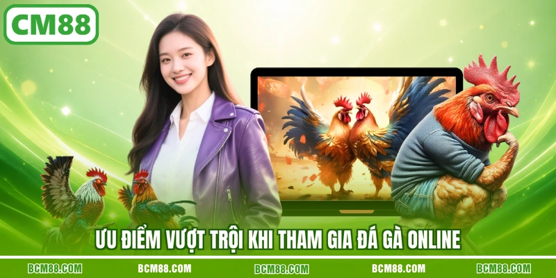 Ưu điểm vượt trội khi tham gia đá gà online Ưu điểm vượt trội khi tham gia đá gà online